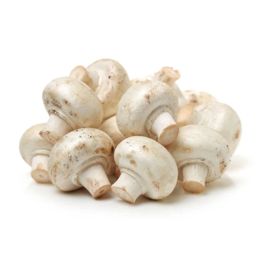 Button Mushroom